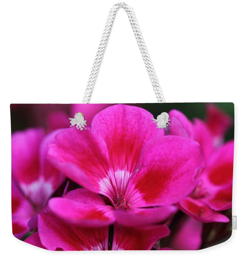 Pink Flowers Weekender Tote Bag featuring the photograph Vibrant Pink Flowers by Angela Murdock