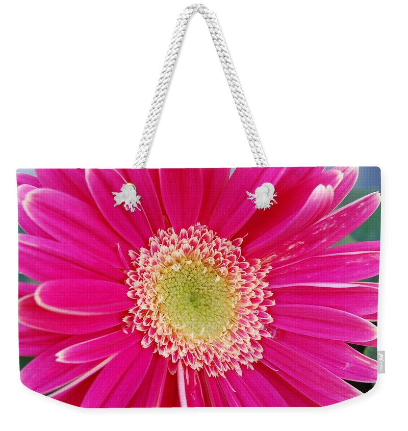 Flower Weekender Tote Bag featuring the photograph Vibrant Pink Gerber Daisy by Amy Fose