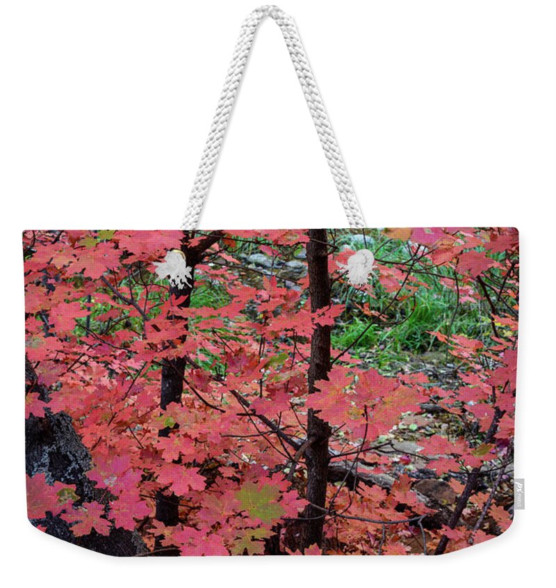 Landscape Weekender Tote Bag featuring the photograph Vibrant Red Maples by Daniel Dean