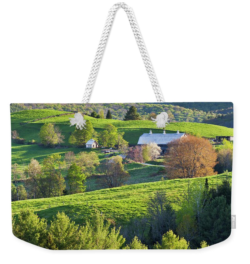 Spring Weekender Tote Bag featuring the photograph Vibrant Spring by Alan L Graham