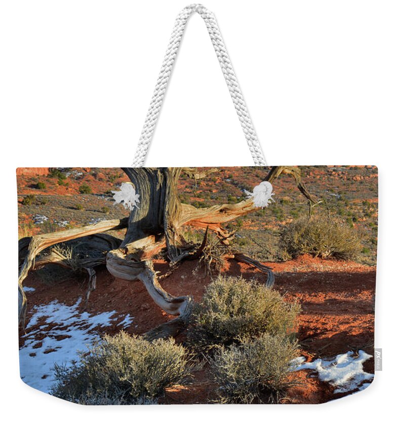 Arches National Park Weekender Tote Bag featuring the photograph View along Park Road in Arches National Park by Ray Mathis
