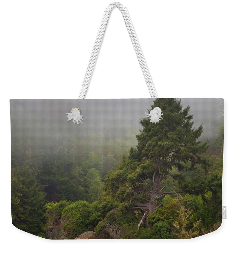 Tree Weekender Tote Bag featuring the photograph View From The Beach by Mark Alder