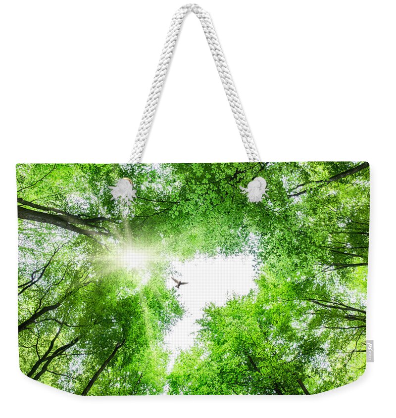 Tree Weekender Tote Bag featuring the photograph View through tree canopy with bird soaring by Simon Bratt