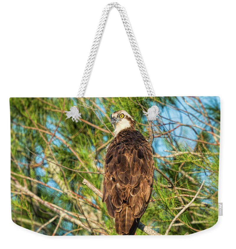 Birds Weekender Tote Bag featuring the photograph Vigilance by John M Bailey