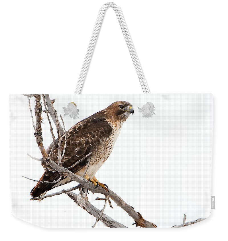 Red Tail Hawk Weekender Tote Bag featuring the photograph Vigilant by Bon and Jim Fillpot