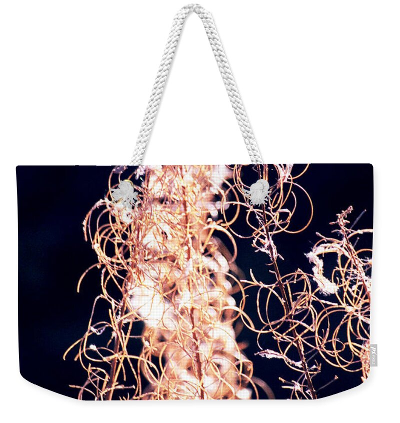 Vines Weekender Tote Bag featuring the photograph Vine Circles and Light by Kae Cheatham