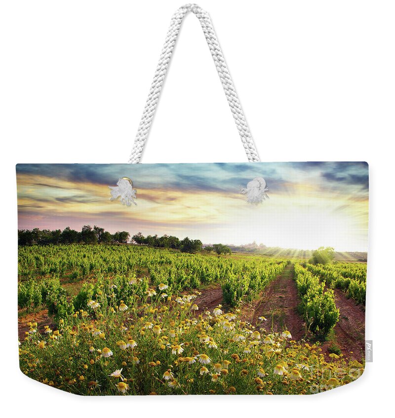 Agriculture Weekender Tote Bag featuring the photograph Vineyard by Carlos Caetano