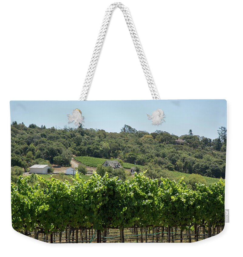 Vineyard Weekender Tote Bag featuring the photograph Vineyard in Sebastopol, Sonoma, California by Nicole Freedman