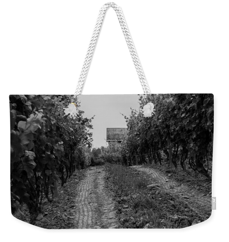 Vineyard Weekender Tote Bag featuring the photograph vineyard of old BW by Photographic Arts And Design Studio