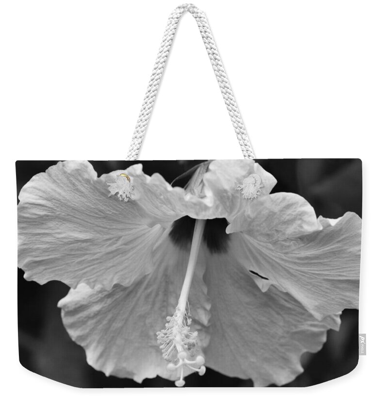 Hibiscus Weekender Tote Bag featuring the photograph Vintage Hibiscus by Melanie Moraga