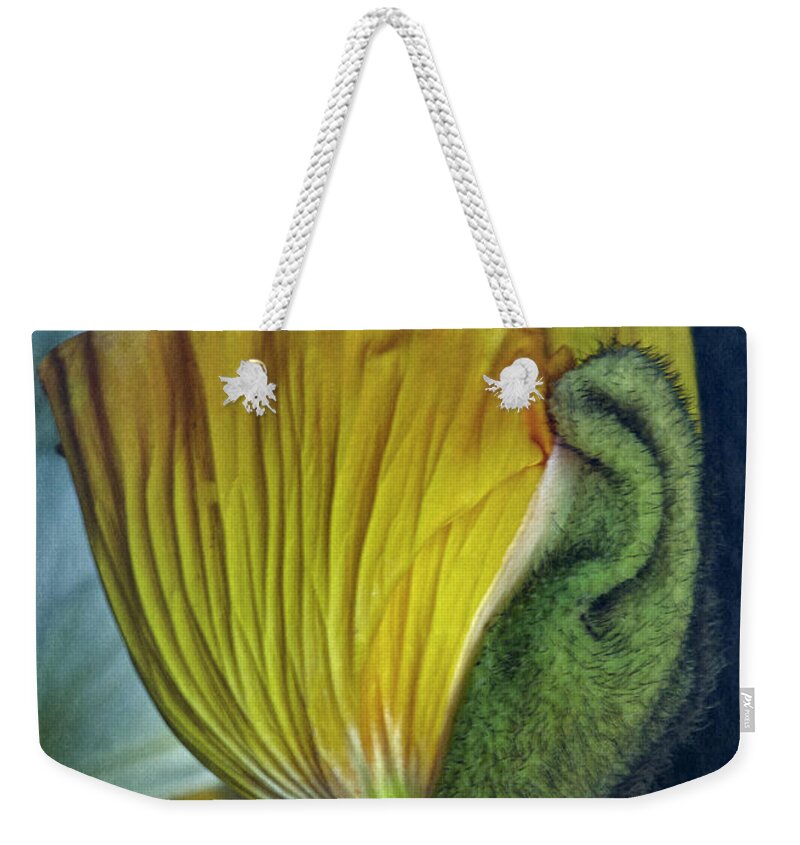 Poppy Weekender Tote Bag featuring the photograph Vintage Poppy 2017 No. 1 by Richard Cummings