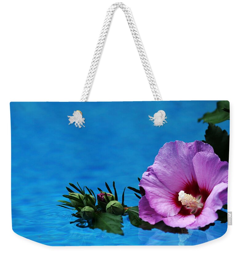 Rose Of Sharon Weekender Tote Bag featuring the photograph Violet Satin by Debbie Oppermann