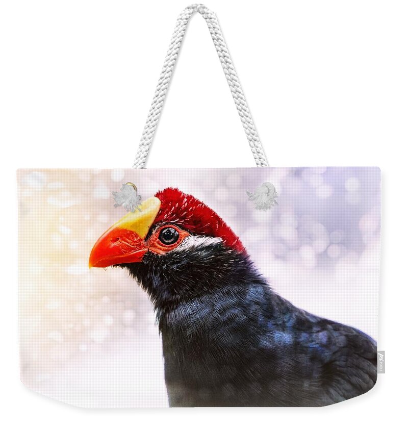 Violet Turaco Weekender Tote Bag featuring the photograph Violet Turaco by Jaroslav Buna