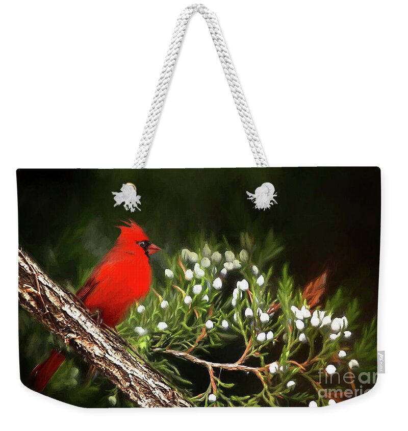 Virginia State Bird Weekender Tote Bag featuring the photograph Virginia State Bird by Darren Fisher