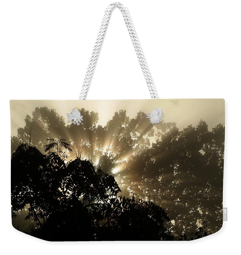 Sunrise Weekender Tote Bag featuring the photograph Virginia Sunrise by Michael McGowan