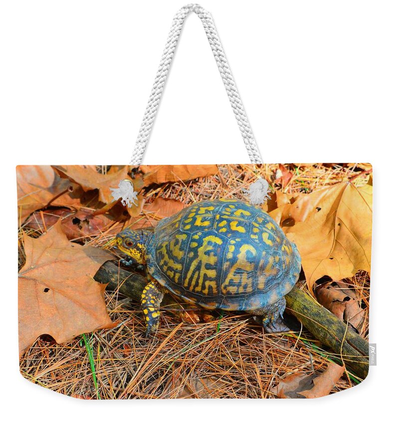 Eastern Box Weekender Tote Bag featuring the photograph Visitor in the Woods by Stacie Siemsen