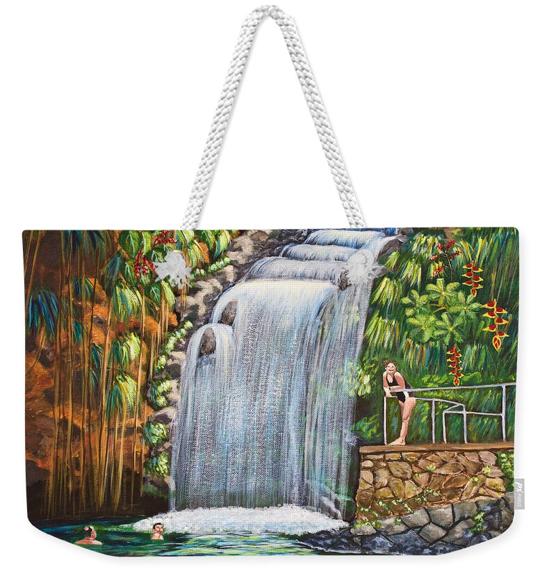 Annandale Waterfall Weekender Tote Bag featuring the painting Visitors To The Falls by Laura Forde