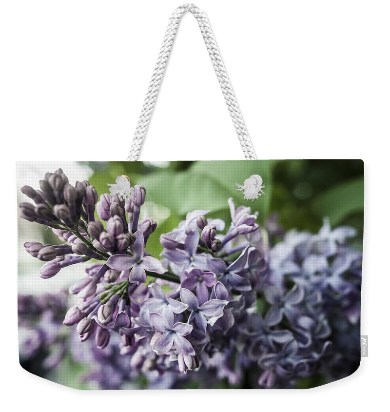 Miguel Weekender Tote Bag featuring the photograph Vivid Dreams by Miguel Winterpacht