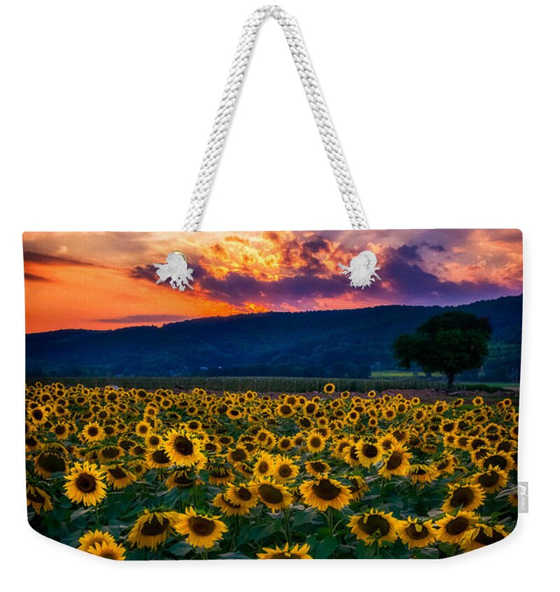 Sunflowers Weekender Tote Bag featuring the photograph Vivid Sunset Sunflowers by Mark Rogers