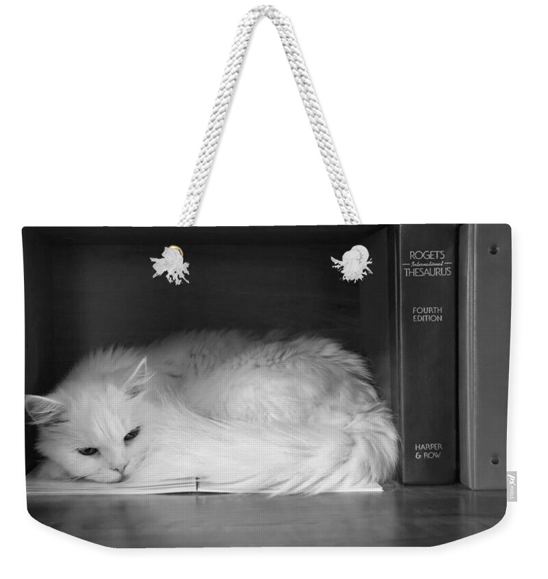 Cat Weekender Tote Bag featuring the photograph Vocabulary by Osmosis - Cat and Thesaurus by Mitch Spence