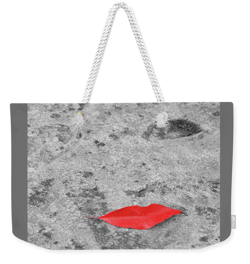 Humorous Weekender Tote Bag featuring the photograph Voluminous Lips by Dale Kincaid
