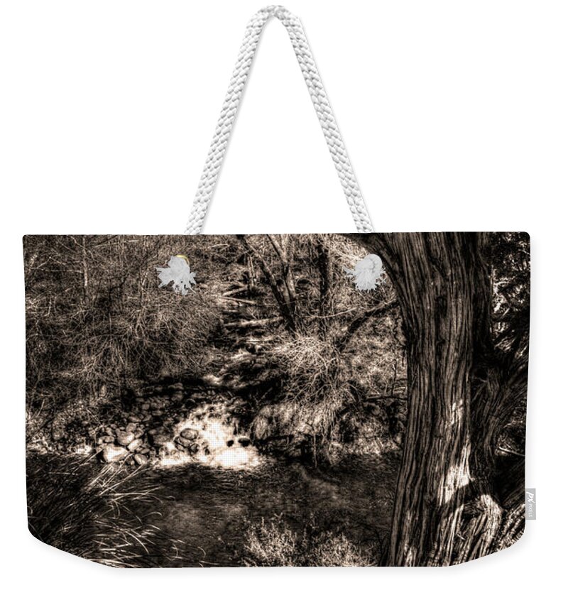 Arizona Weekender Tote Bag featuring the photograph Vortex Juniper Clinging to a High Perch by Roger Passman