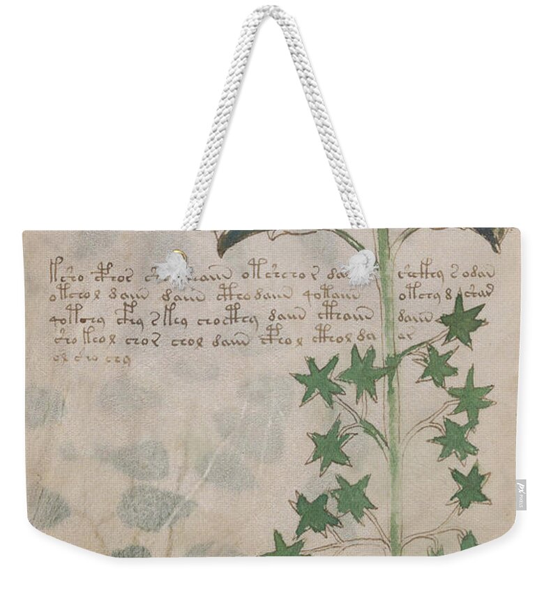 Plant Weekender Tote Bag featuring the drawing Voynich flora 03 by Rick Bures
