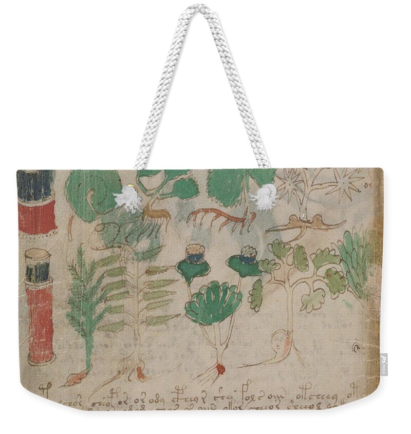 Plant Weekender Tote Bag featuring the drawing Voynich flora pharma 06 by Rick Bures