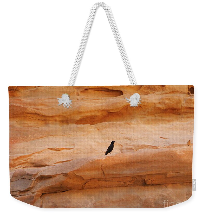Birds Weekender Tote Bag featuring the photograph Wadi Rum Birds by Donna L Munro