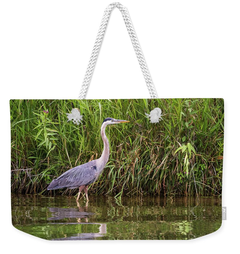 East Silent Weekender Tote Bag featuring the photograph Wading and Watching by Penny Meyers