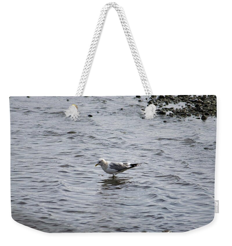 Gull Weekender Tote Bag featuring the photograph Wading Gull by Donna L Munro