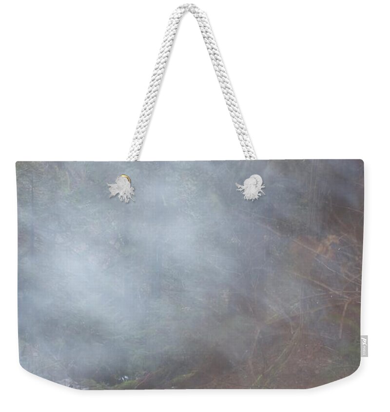 Wahkeena Mist Weekender Tote Bag featuring the photograph Wahkeena Mist by Dylan Punke