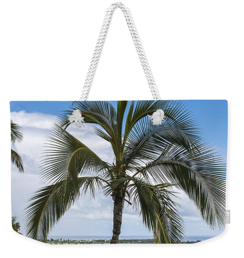 Coast Weekender Tote Bag featuring the photograph Wailua River by Robert Potts