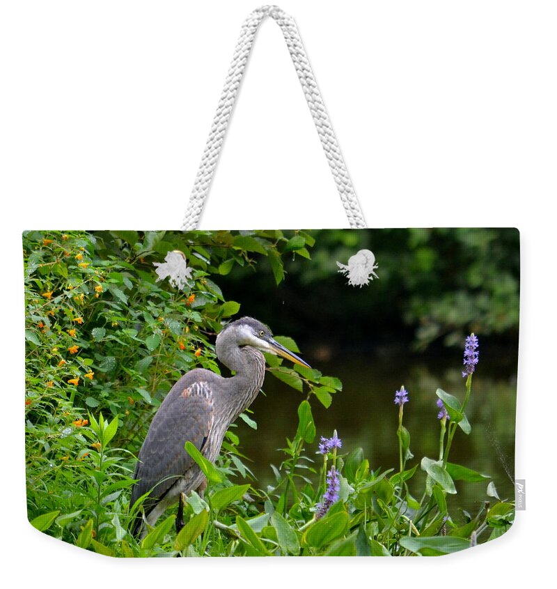 Bird Weekender Tote Bag featuring the photograph Waiting by Colleen Phaedra