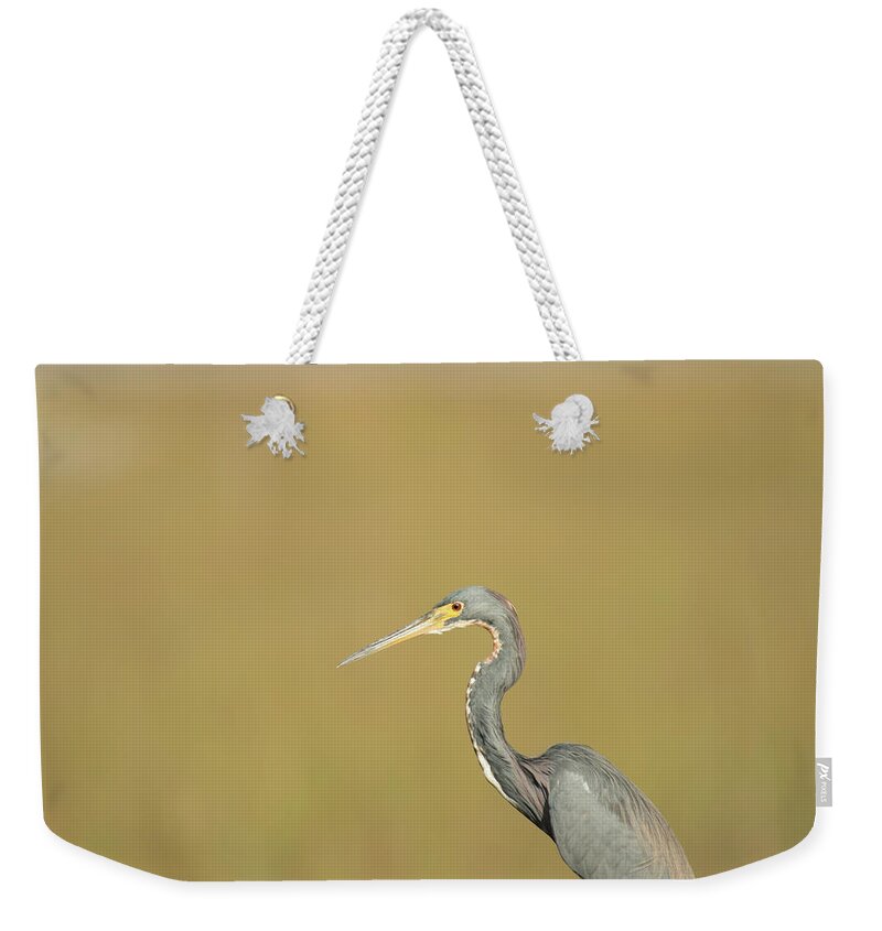 Everglades National Park Weekender Tote Bag featuring the photograph Waiting by Frank Madia