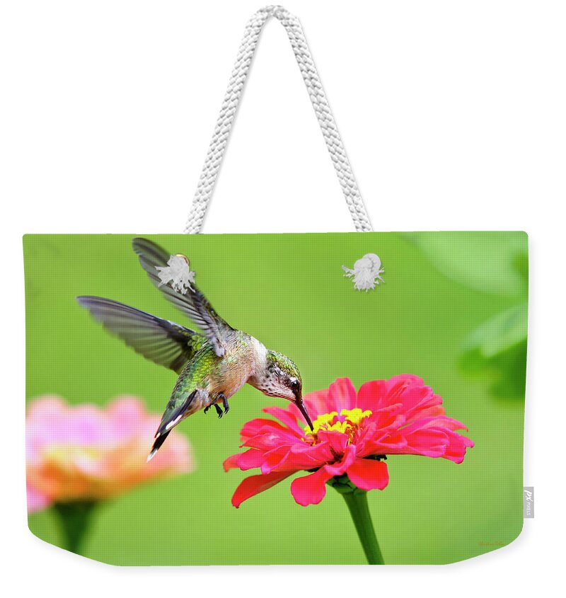 Hummingbird Weekender Tote Bag featuring the photograph Hummingbird Waiting in the Wings by Christina Rollo