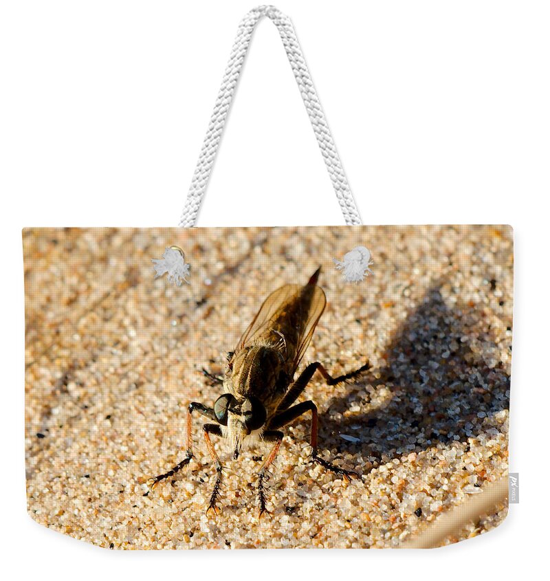 Robberfly Weekender Tote Bag featuring the photograph Waiting on a meal by James Smullins