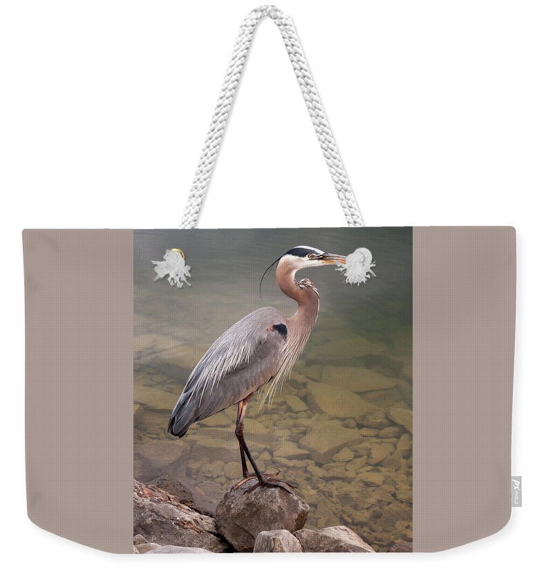 Blue Heron Weekender Tote Bag featuring the photograph Waiting by Terri Harper