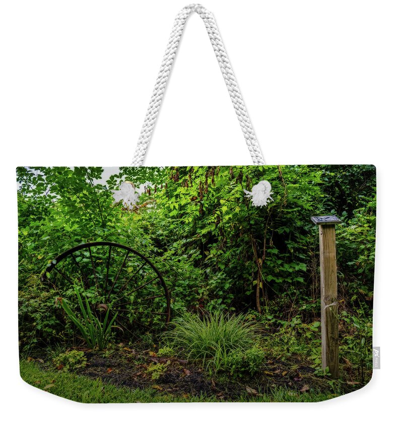 Wheel Weekender Tote Bag featuring the photograph Walk in the park by Tim Buisman