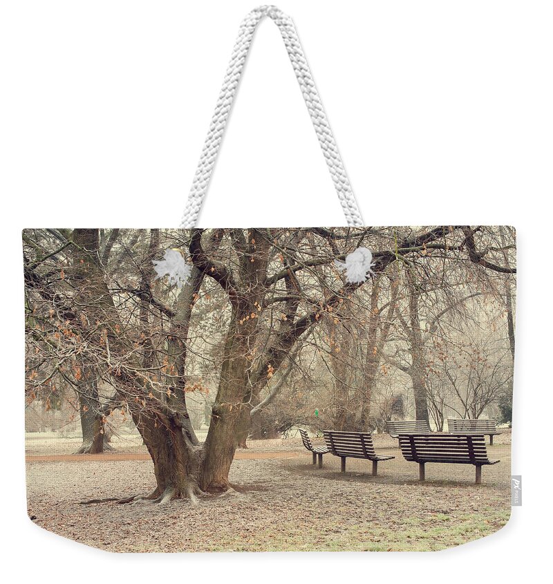 Jenny Rainbow Fine Art Photography Weekender Tote Bag featuring the photograph Walk in the Snowy Old Park by Jenny Rainbow