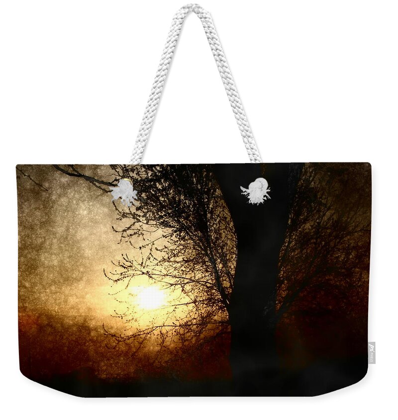 Landscape Weekender Tote Bag featuring the photograph Walk Quietly Into the Night with Me. by Julie Lueders 