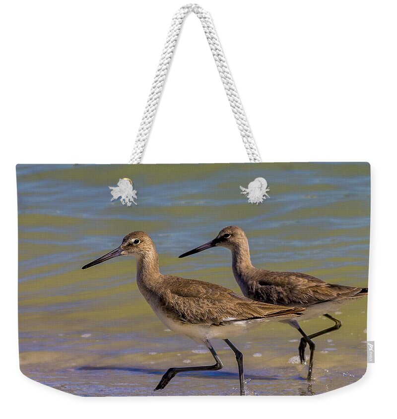 Cove Weekender Tote Bag featuring the photograph Walk Together Stay Together by Marvin Spates