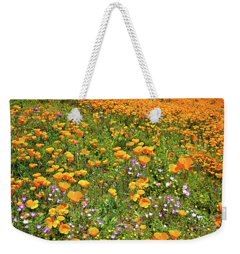 Walker Canyon Weekender Tote Bag featuring the photograph Walker Canyon Superbloom 2017 Vertical by Lynn Bauer