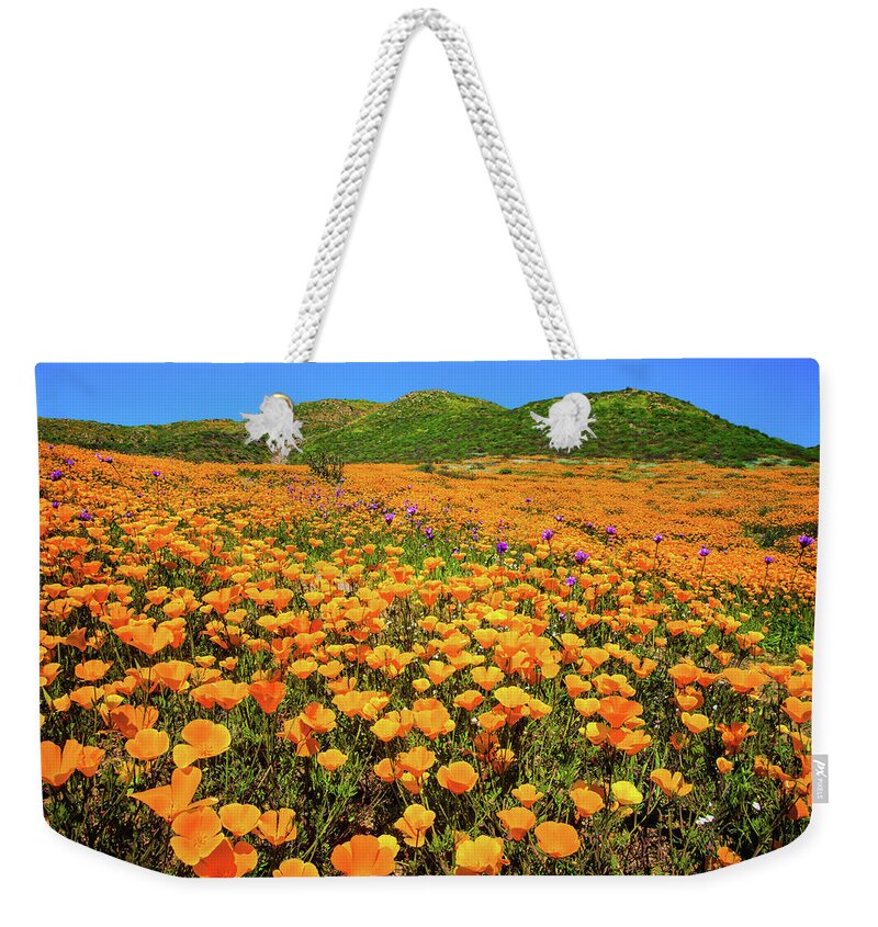 Poppies Weekender Tote Bag featuring the photograph Walker Canyon Wildflowers by Lynn Bauer