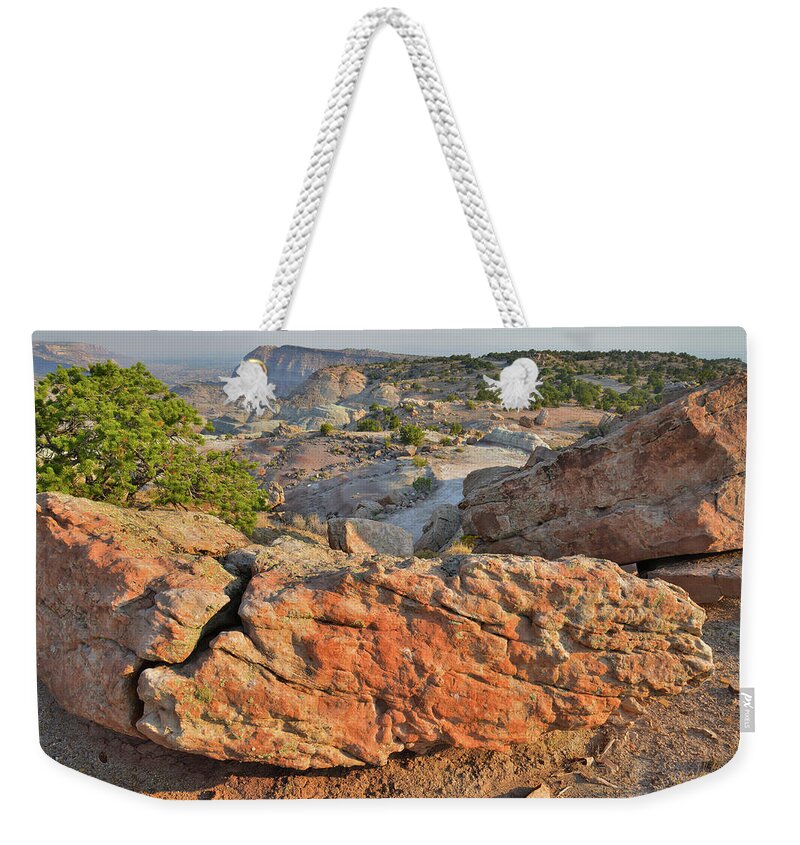 Grand Junction Weekender Tote Bag featuring the photograph Walking Above the Bentonite Site by Ray Mathis