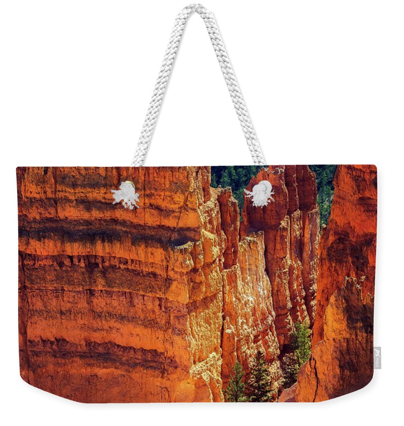 Bryce Canyon Weekender Tote Bag featuring the photograph Walking Among Giants by John Hight