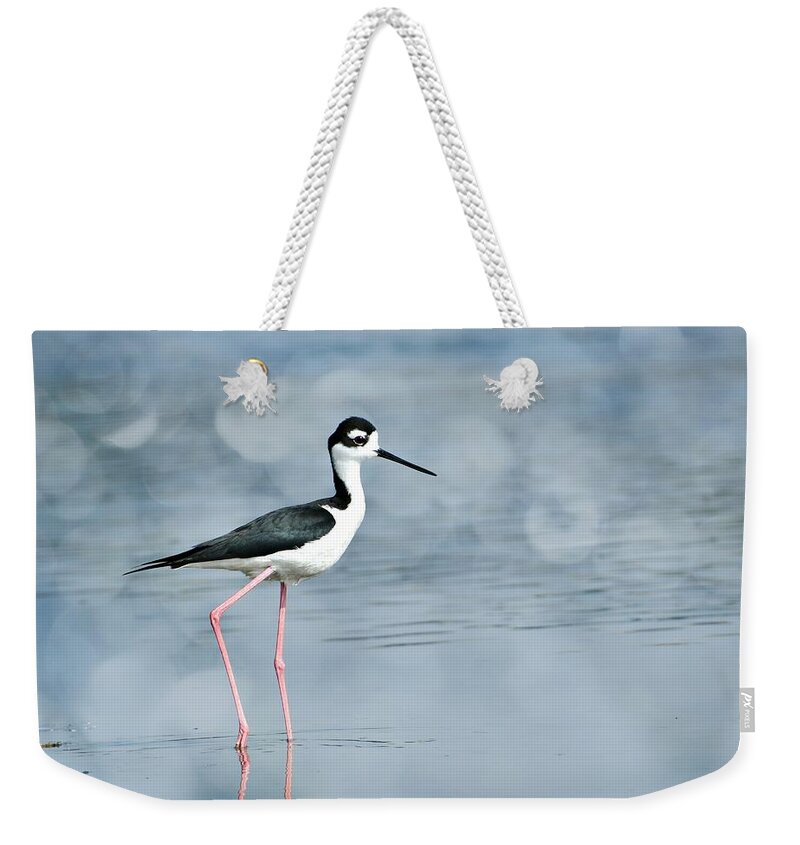 Black-necked Stilt Weekender Tote Bag featuring the photograph Walking On A River by Fraida Gutovich