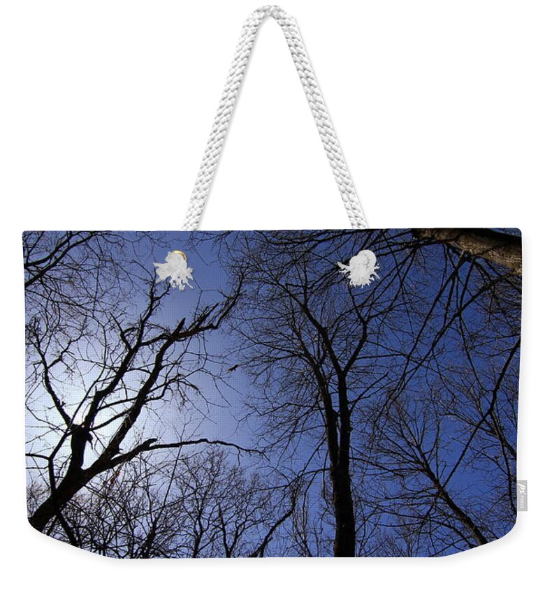  Silhouette Weekender Tote Bag featuring the photograph Walking to the Light # 3 by Rick Rauzi