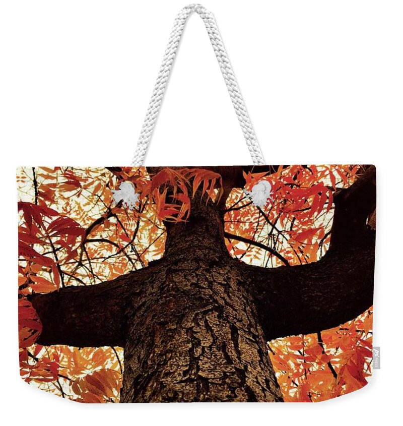 Tree Weekender Tote Bag featuring the photograph Walking Tree on Fire by Doris Aguirre