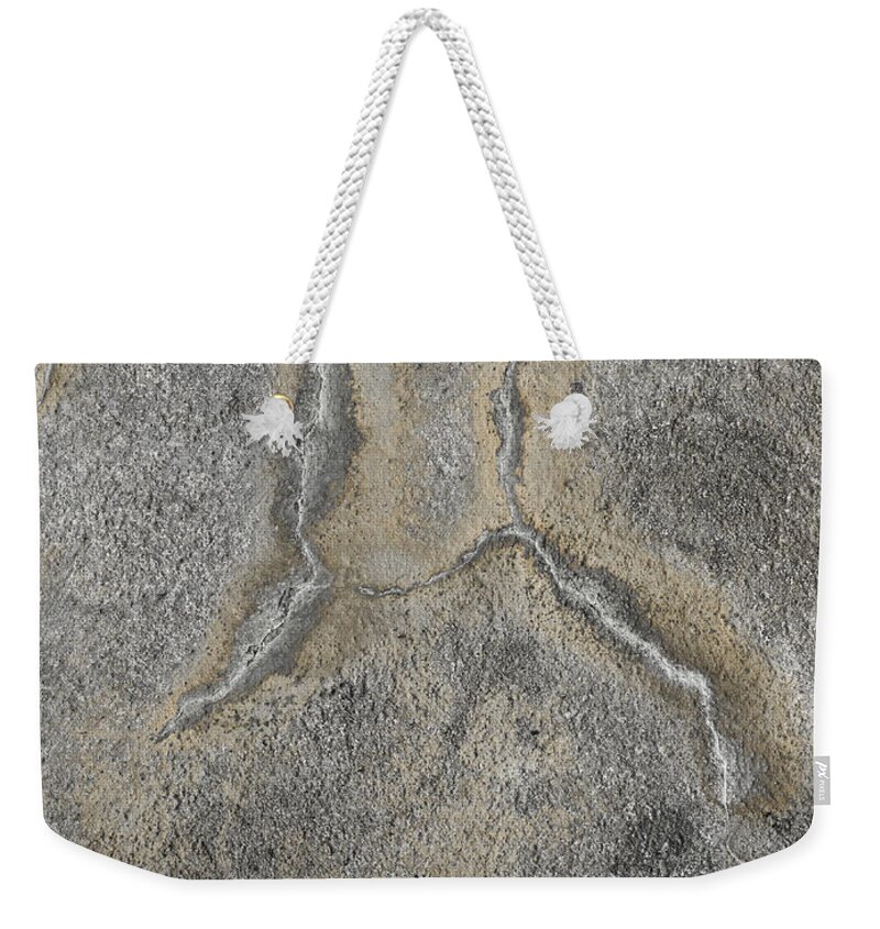 Wall Weekender Tote Bag featuring the photograph Wall Texture Number 2 by Carol Leigh